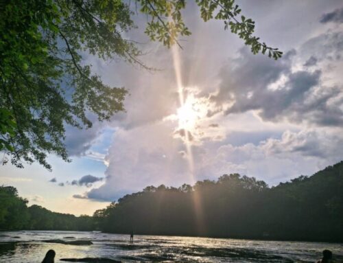 The Falls Of Georgia