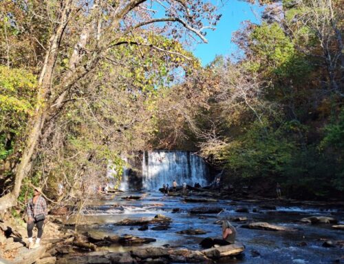 Roswell Mill Waterfall